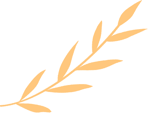 �����������������ա�