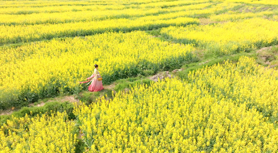 �ٲ�����