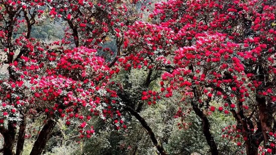 �ٲ�����