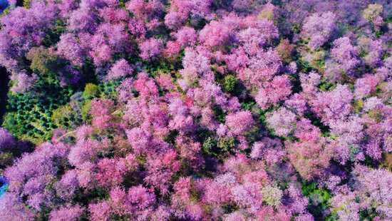 �ٲ�����