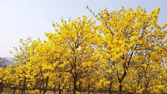 �ٲ�����