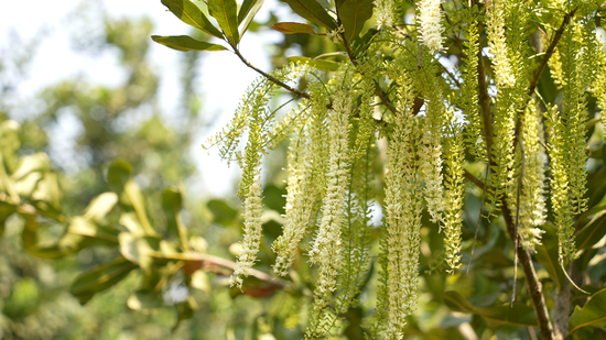 �ٲ�����