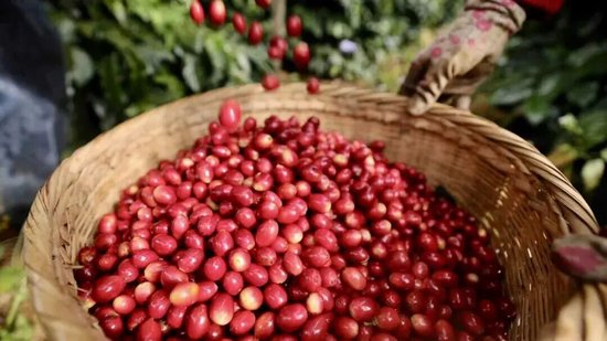 �ٲ�����