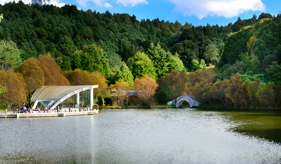 �ٲ�����