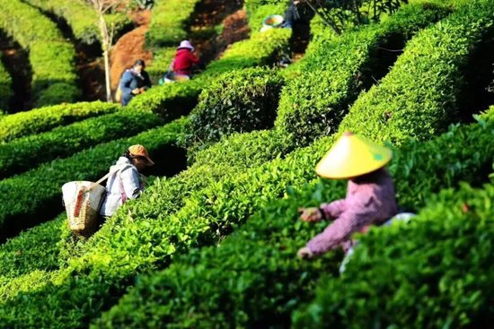 �ٲ�����