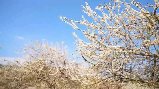 �ٲ�����