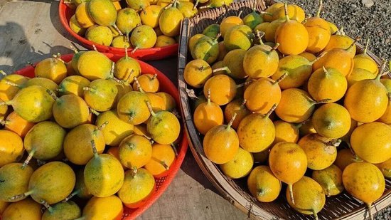 �ٲ�����